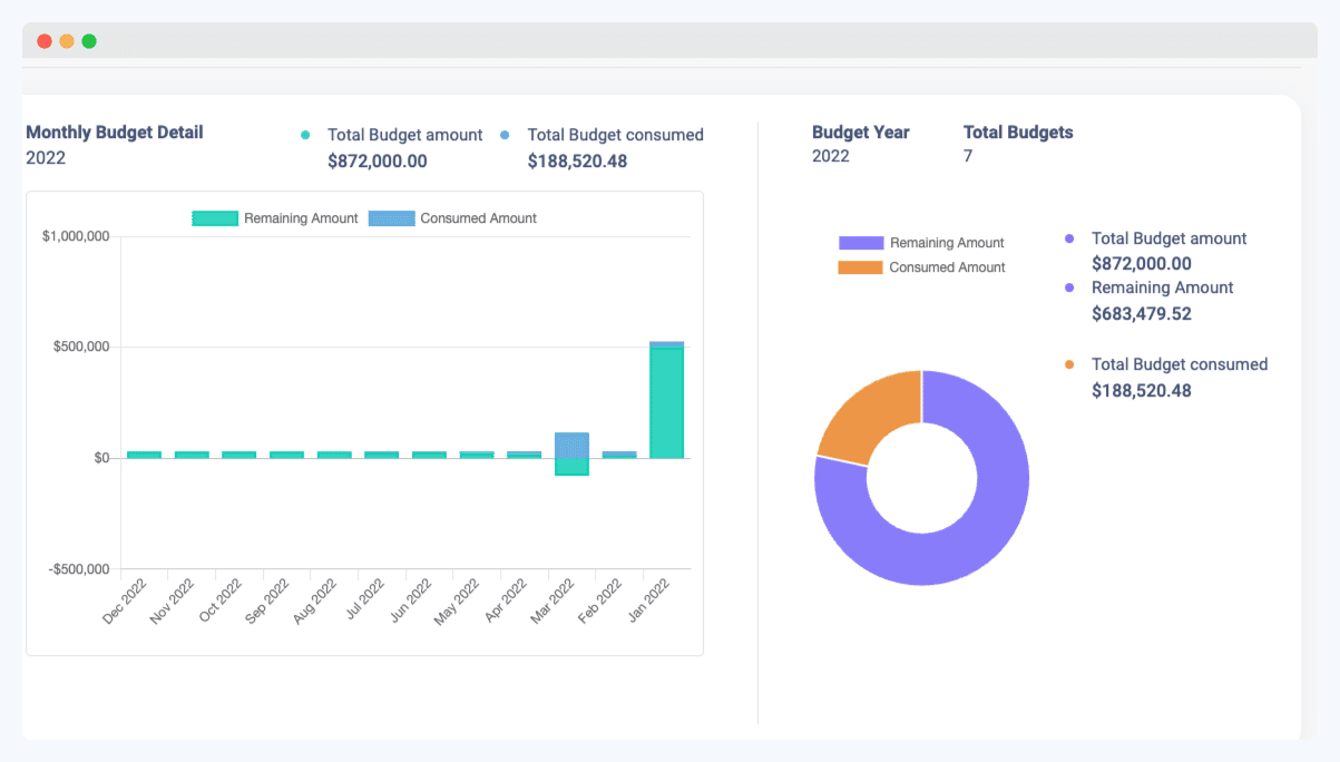 Budget consumption report